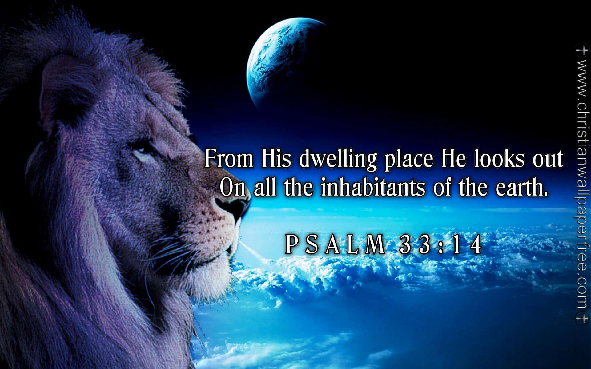 Psalm 33 Verse 14 NAS
