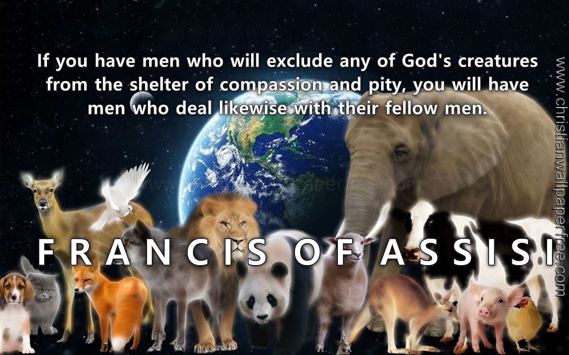 Gods Creatures Quote Francis Of Assisi