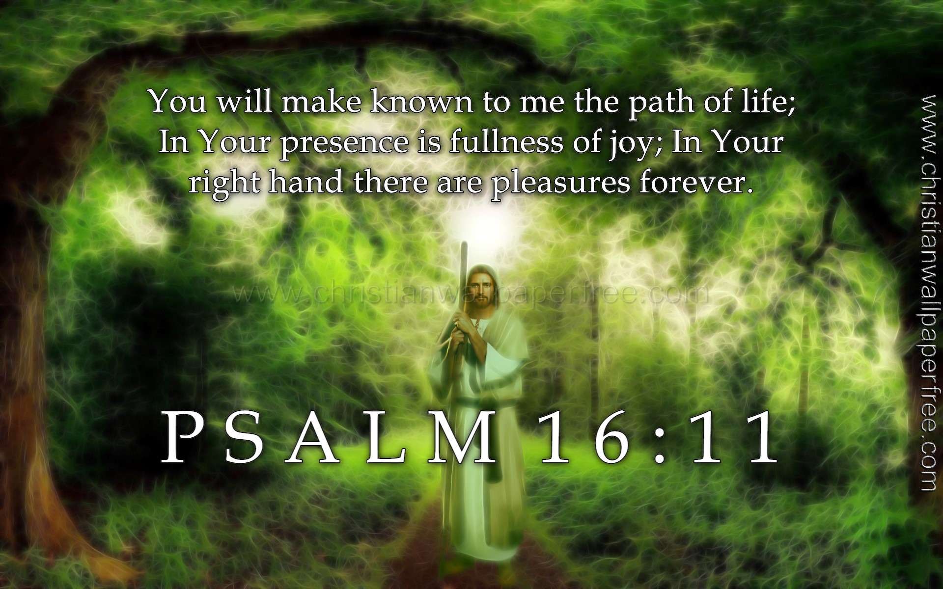 Psa;m 16 Verse 11