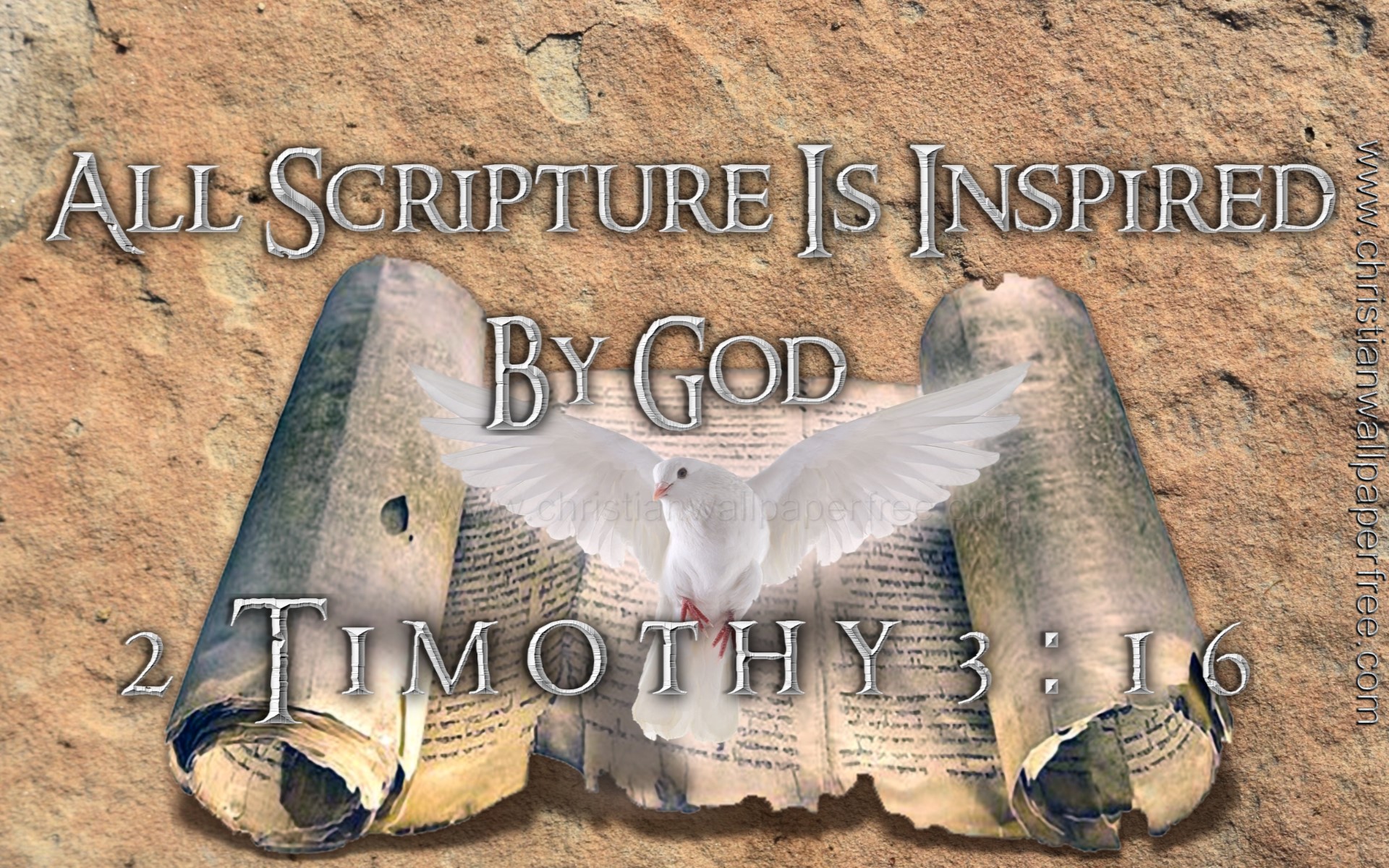 All Scripture Is Inspired 2 Timothy 3 Verse 16