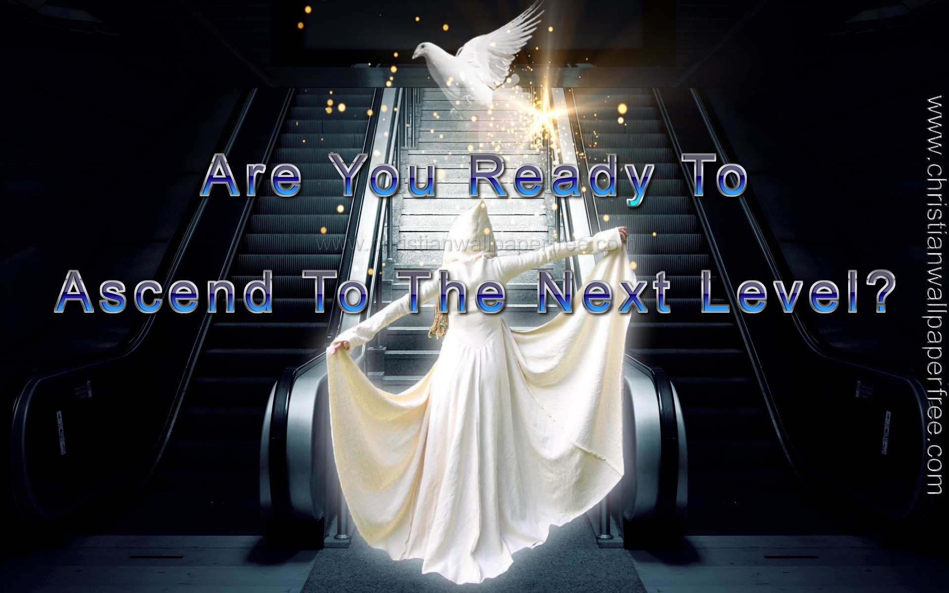 Ascend To The Next Level
