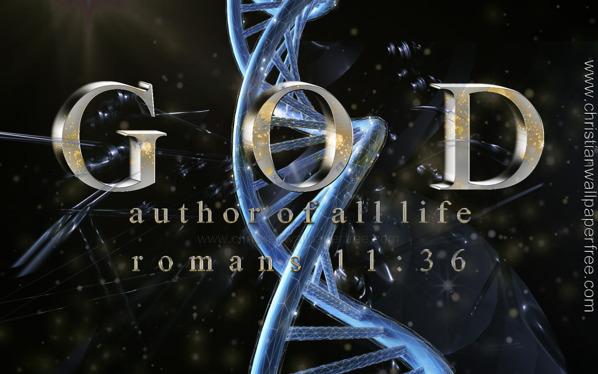 God Author Of Life Romans 11 Verse 36