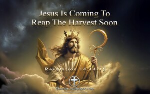 Reap The Harvest Revelation 14 Verses 14 15