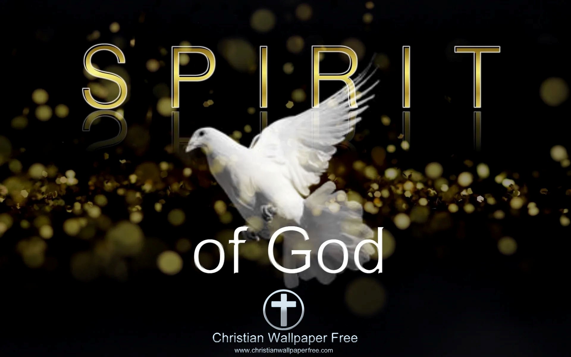 Spirit of God Edited