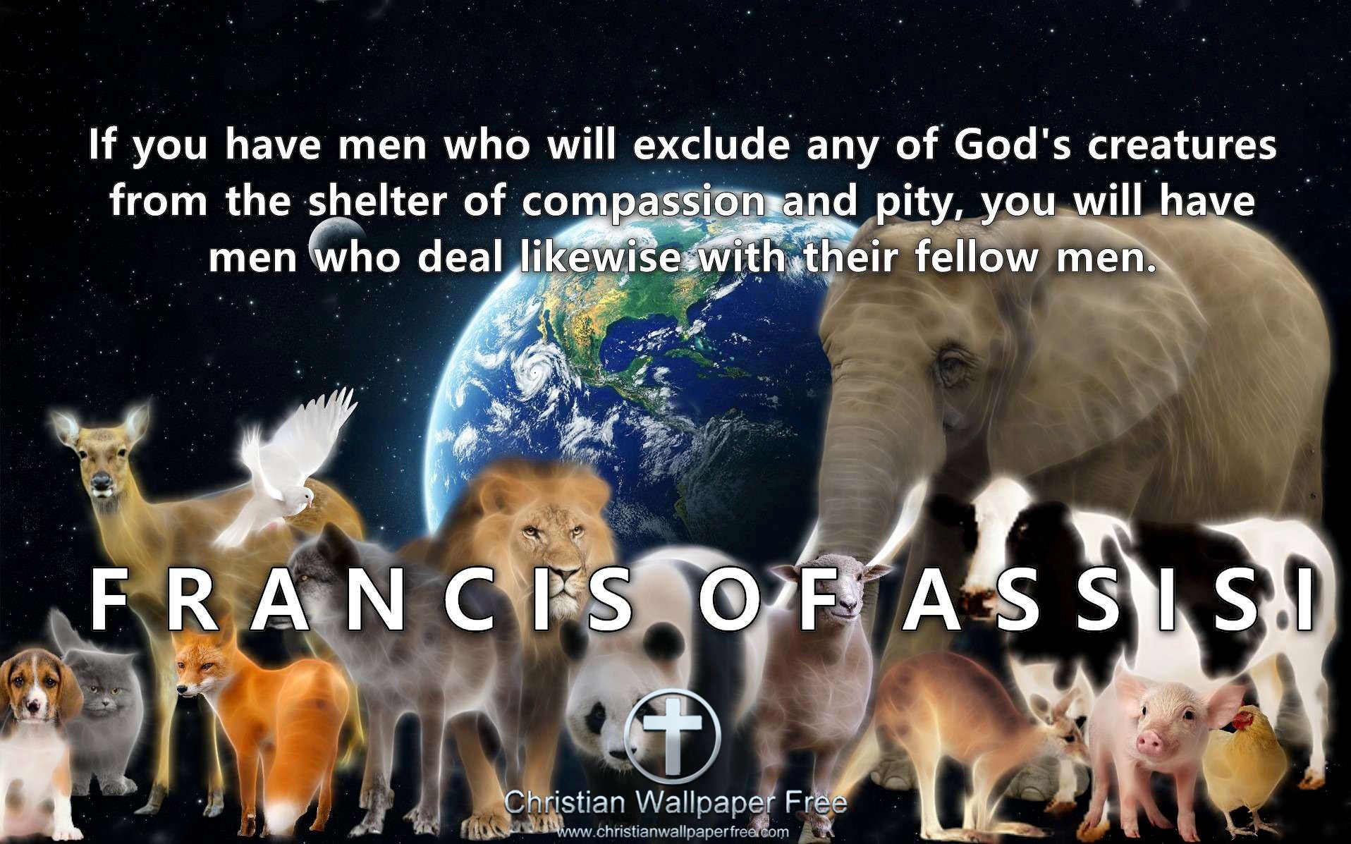 Gods Creatures Quote Francis Of Assisi Edited