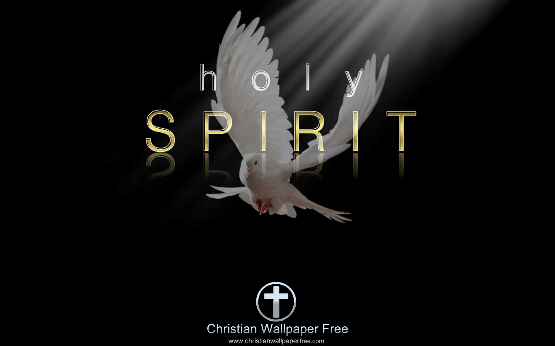Holy Spirit Reflections Edited