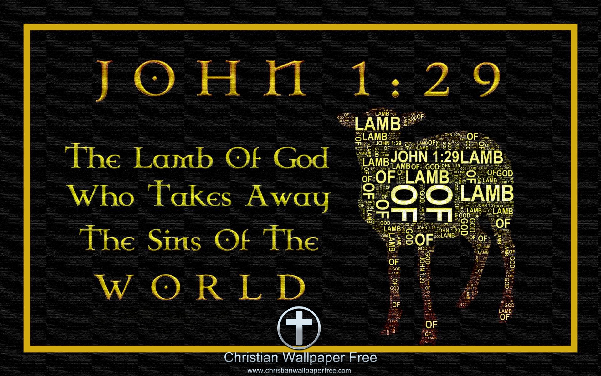 Lamb Of God On Framed Canvas John 1 Verse 29 Edited