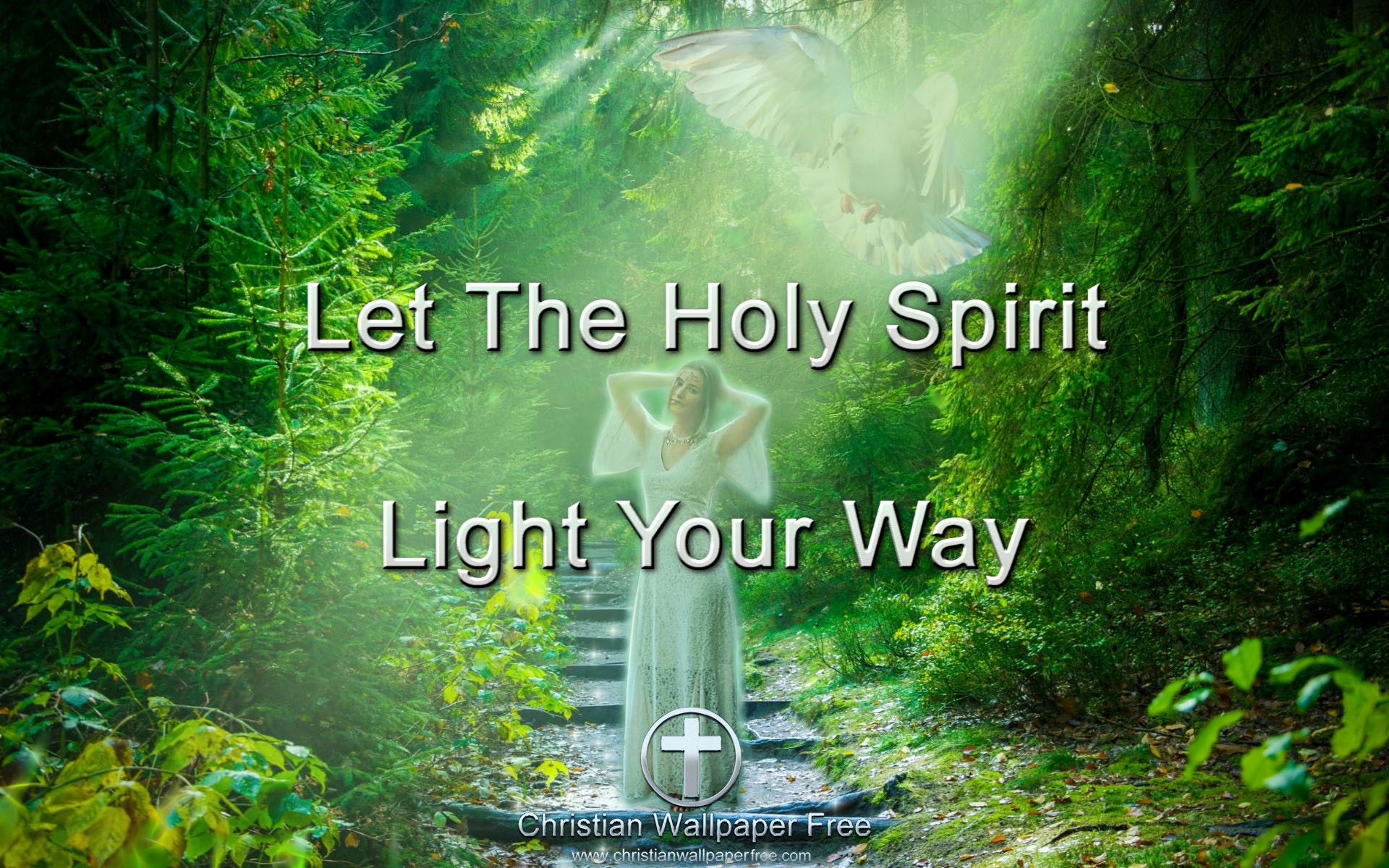 Let the Holy Spirit Light Your Way