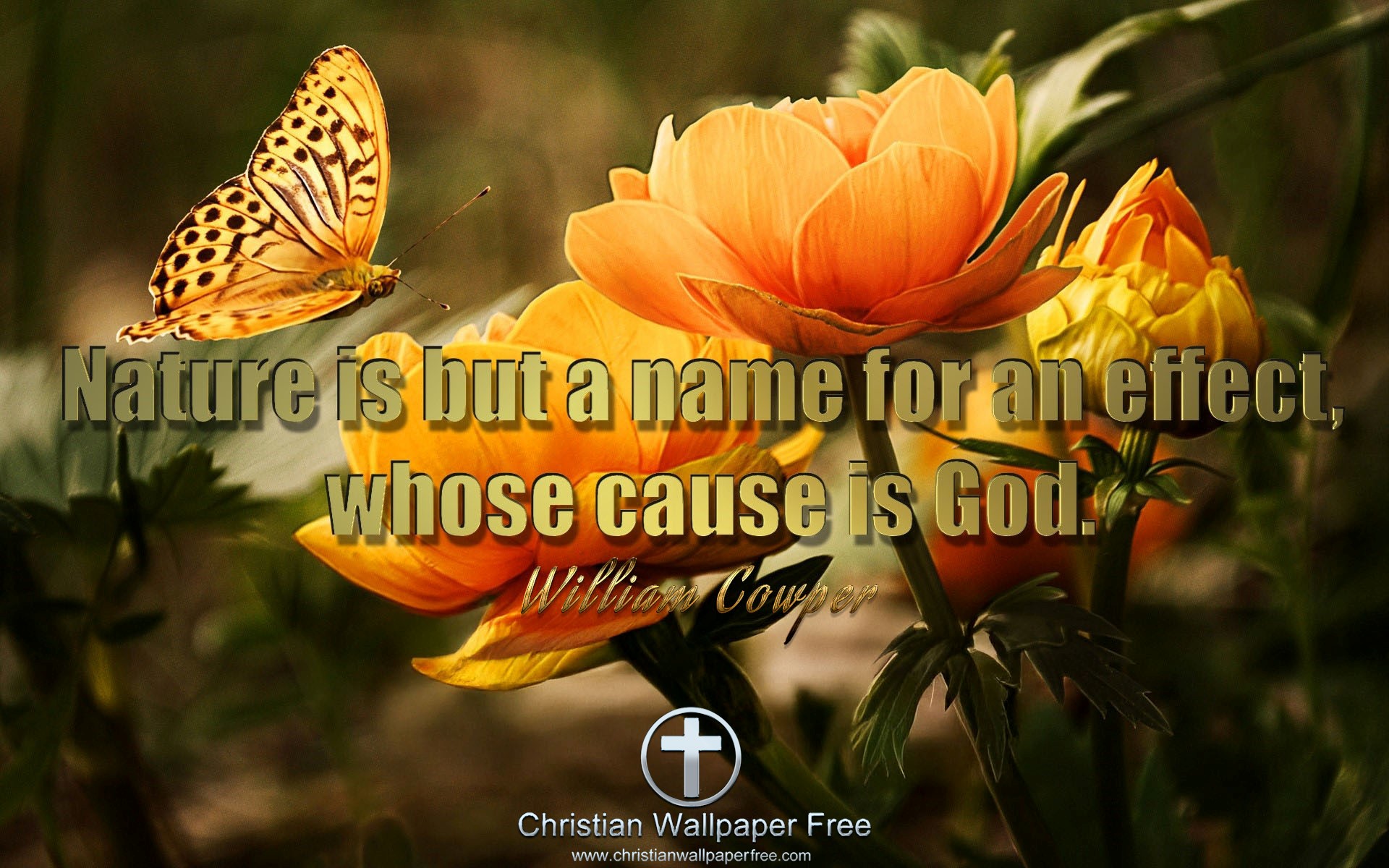 Nature Is Quote By William Cowper Edited