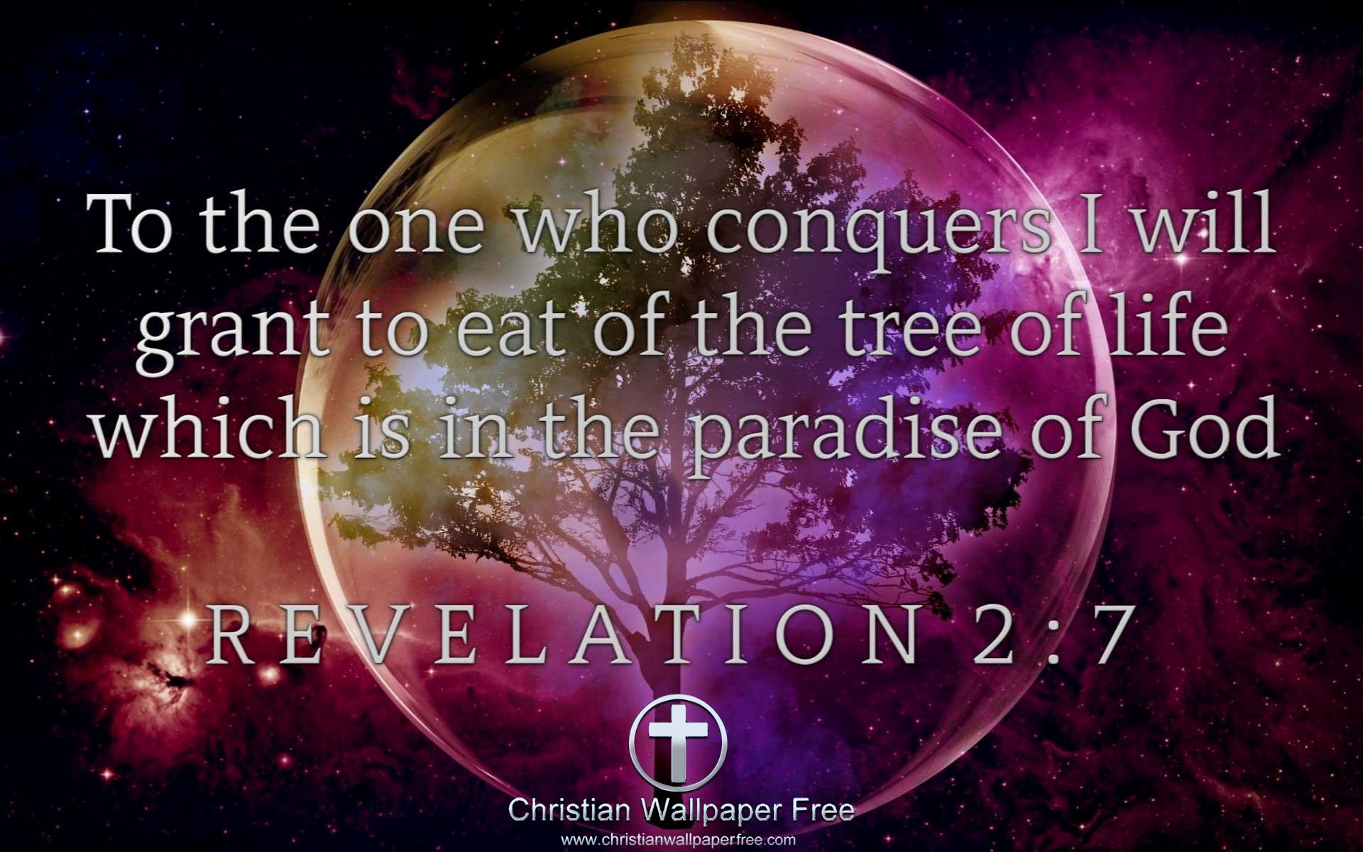 Revelation 2 Verse 7 NAS Edited