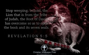 Revelation 5 Verse 5 The Seven Seals Edited