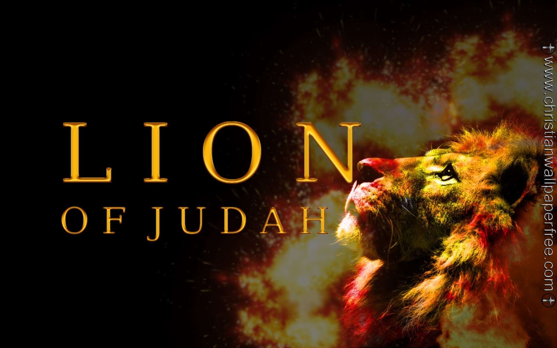 Lion Of Judah In Flames Gold
