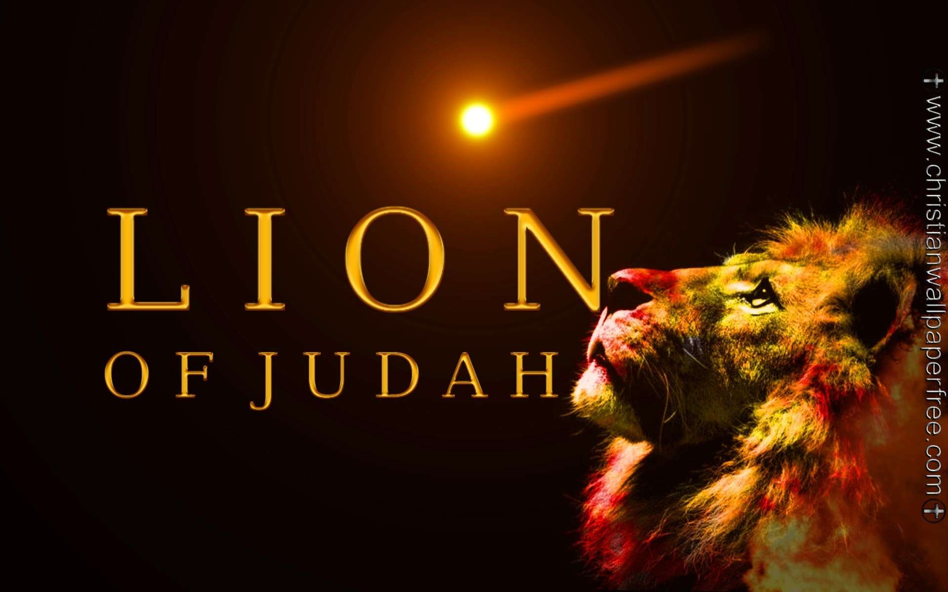 Lion of Judah Under Comet Gold